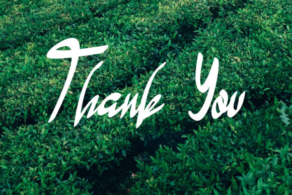Green Tea Font - Preview 4