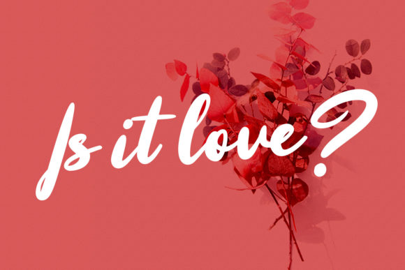 Bitters Script Font - Preview 6