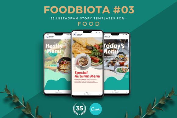 Preview of Foodbiota Three Instagram Story Template food social media design template