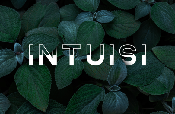 Nonlocal Font PNG with transparent background - Preview 5