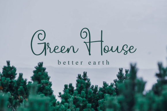 Cardamom Script Font - Preview 6
