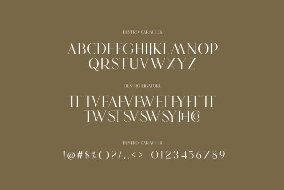 Destro Font - Preview 6