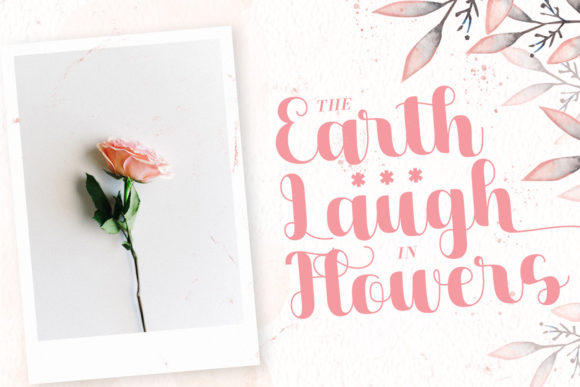 Dilaney Font - Preview 4