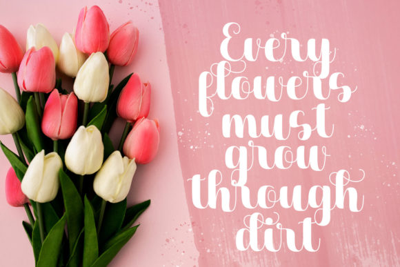 Dilaney Font - Preview 5