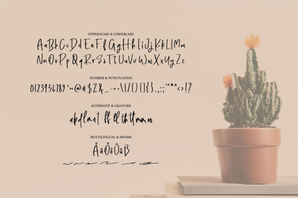 Douglas Font - Preview 5