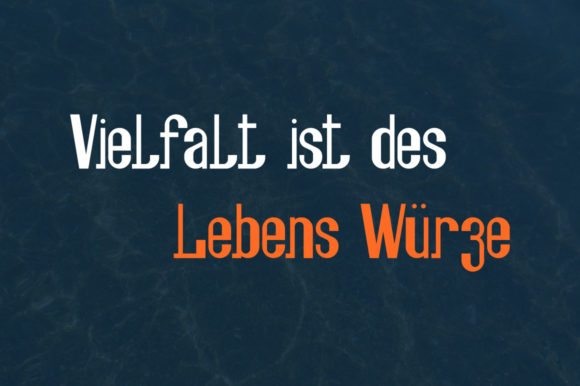 Fesch Font - Preview 3