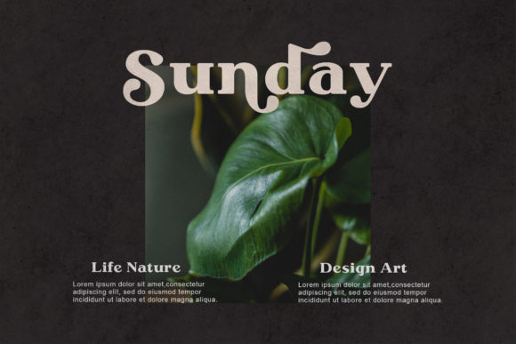 Megusto Font PNG with transparent background - Preview 1