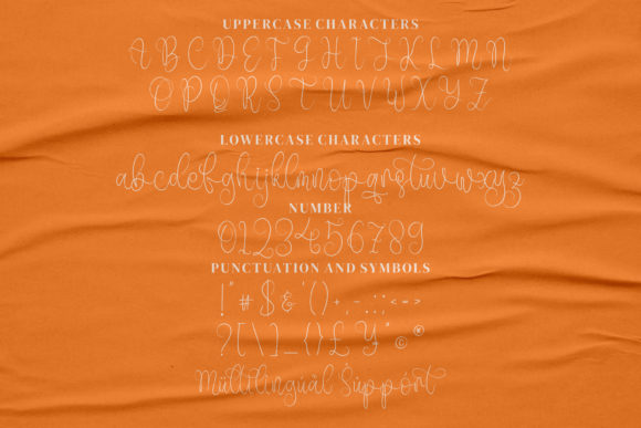 Chandler Beautiful Font - Preview 5