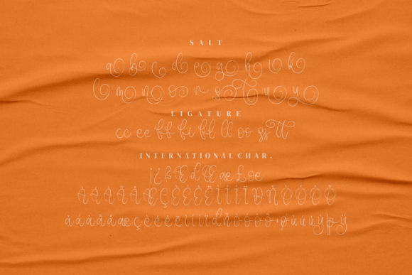 Chandler Beautiful Font - Preview 6