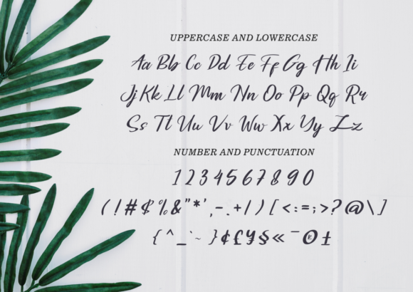 Emykia Font - Preview 1