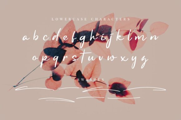 Handlettery Font PNG with transparent background - Preview 3