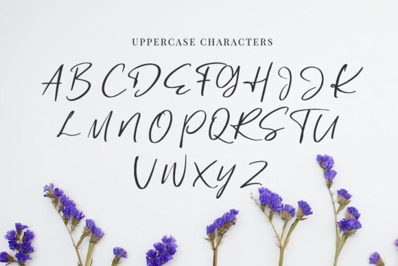 Handlettery Font PNG with transparent background - Preview 4
