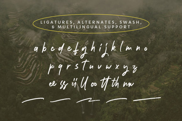 Holastica Font font preview - 6