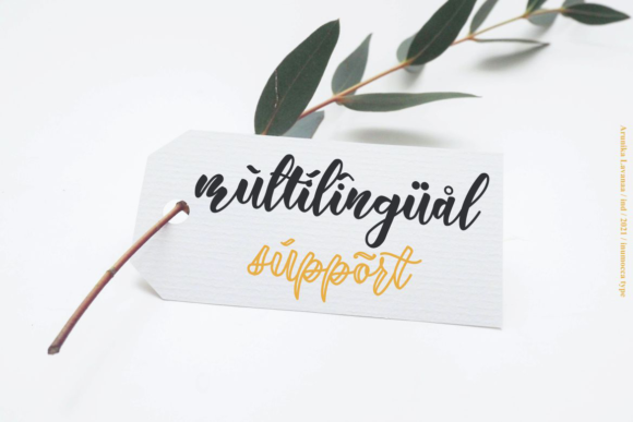 Arunika Lavanaa Font - Preview 6