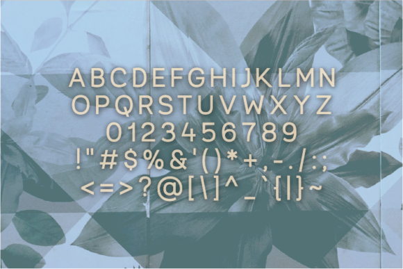 Athennae Font - Preview 2