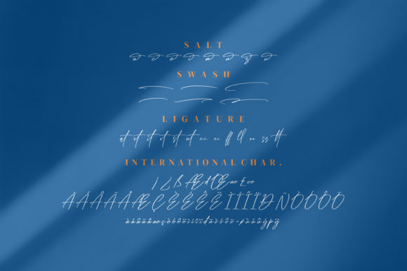Dellyani Font PNG with transparent background - Preview 6