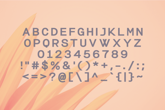 Fushole Font PNG with transparent background - Preview 2