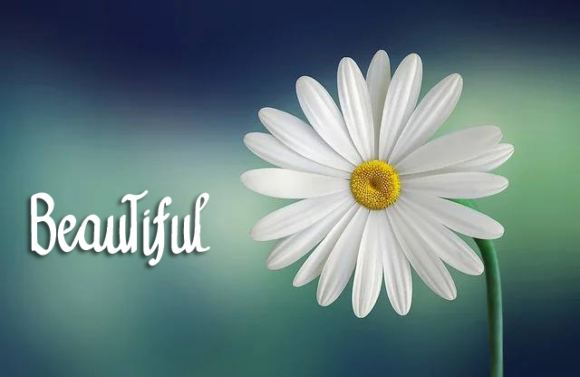 Seasky Font PNG with transparent background - Preview 3