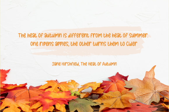 Autumn Leaves Font - Preview 6
