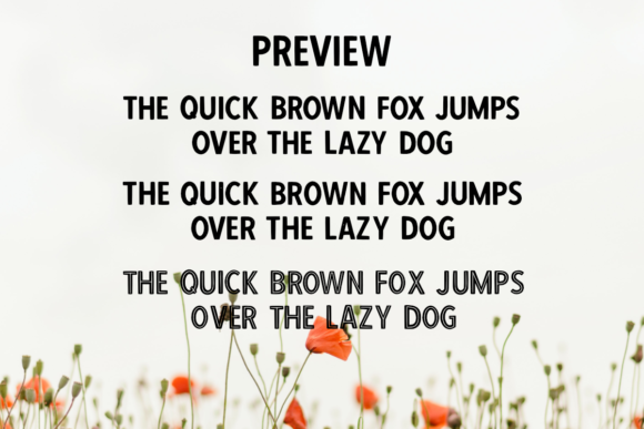 Casual Font - Preview 2