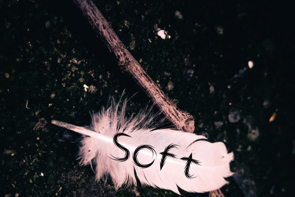 Feathers Font - Preview 1