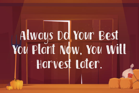 Harvest Time Font PNG with transparent background - Preview 3