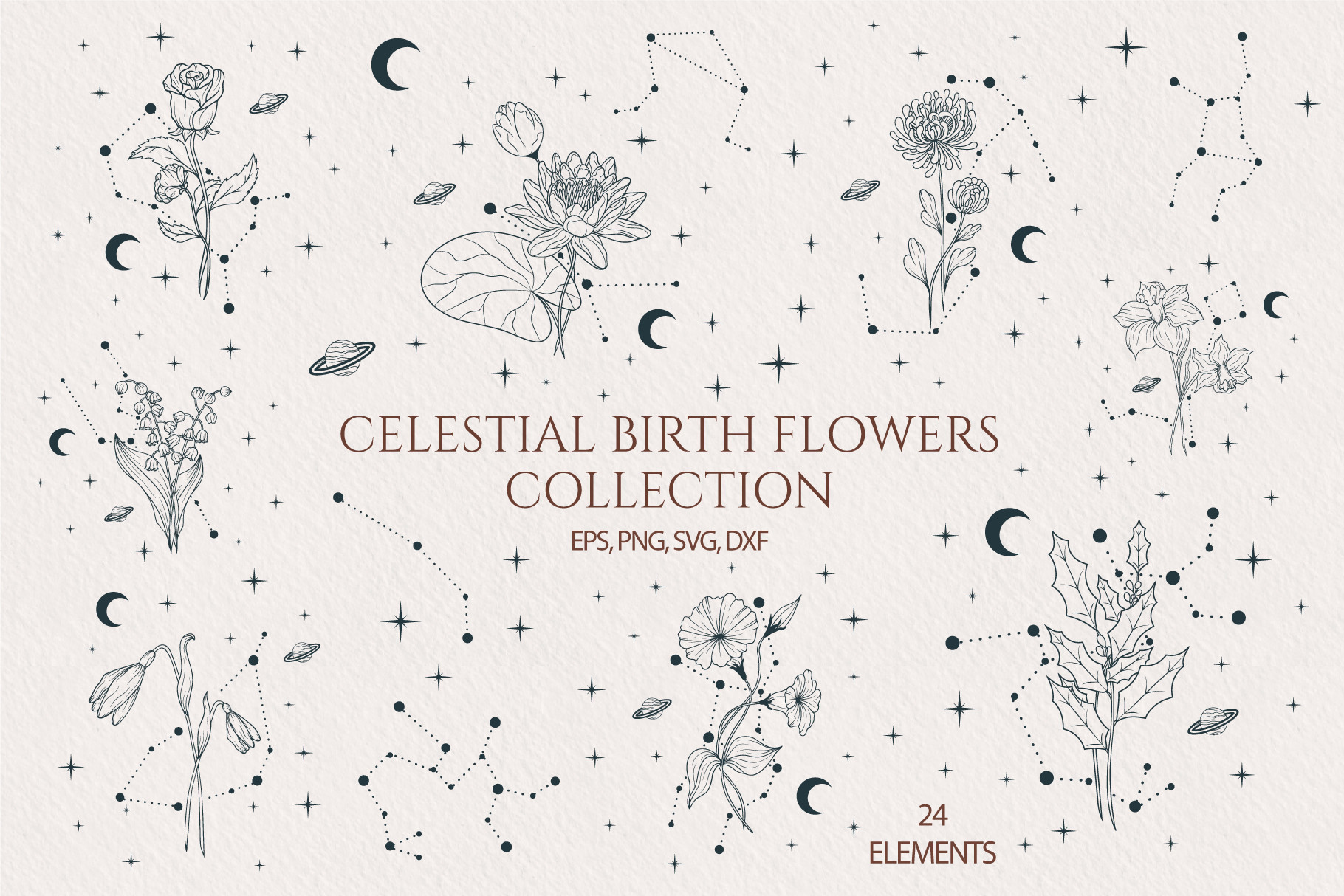 Hand drawn Celestial Birth Month Flowers