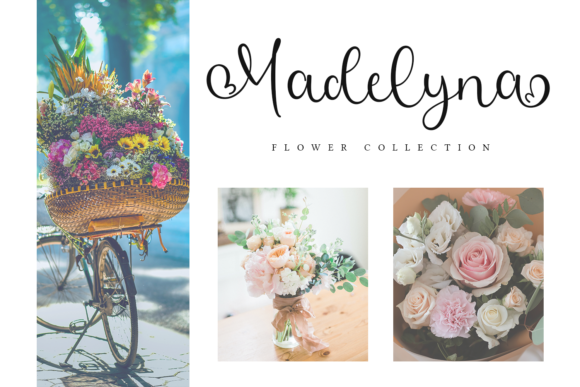Abigail Font - Preview 2