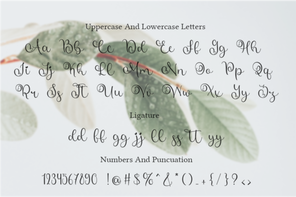 Abigail Font - Preview 5