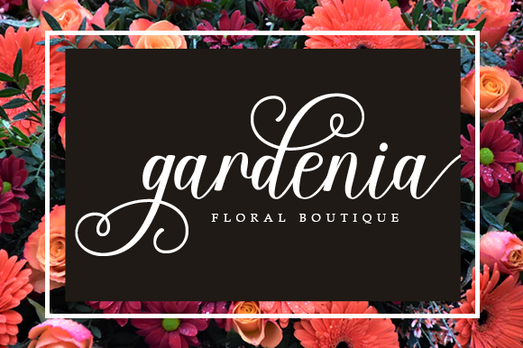 Adventina Script Font - Preview 4