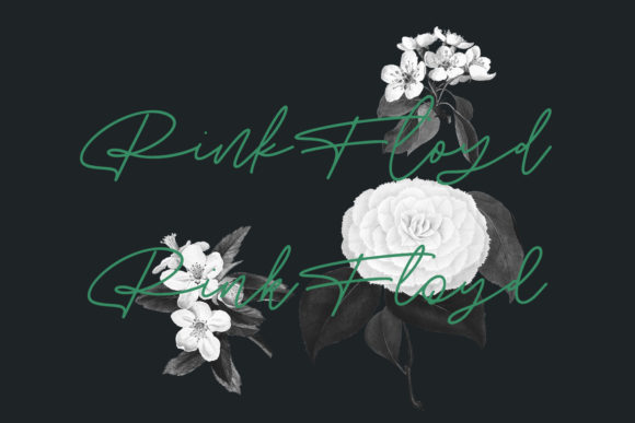 Angel Rise Font - Preview 1