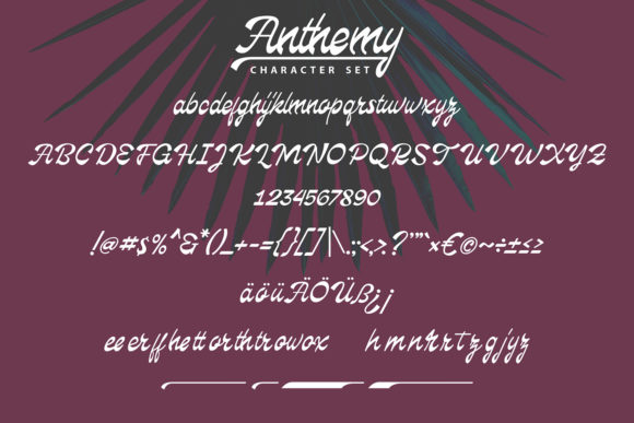 Anthemy Font - Preview 5