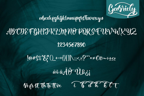 Gabrelly Font - Preview 4