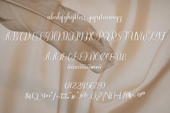 Alexandria Font - Preview 4