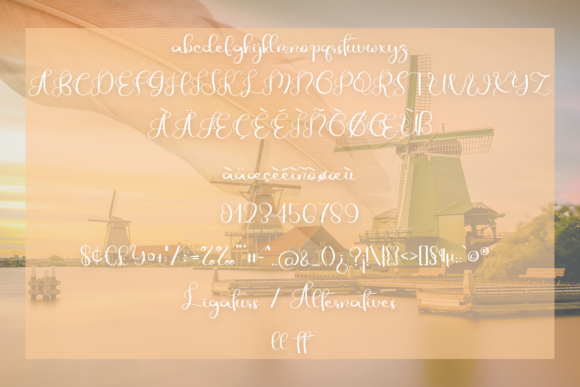 Amsterdam Font - Preview 4