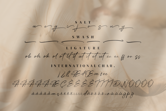 Angelin Font - Preview 6