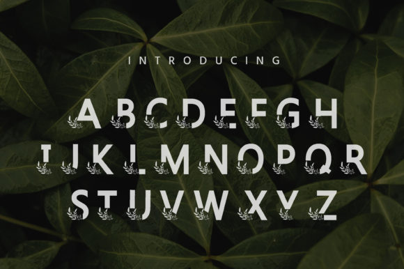 Bherleaf Font - Preview 1