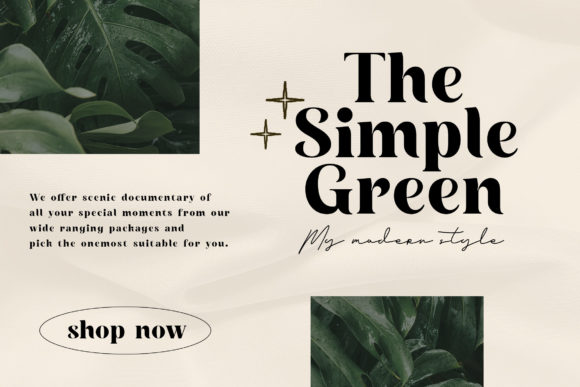 Birds and Home Font PNG with transparent background - Preview 2