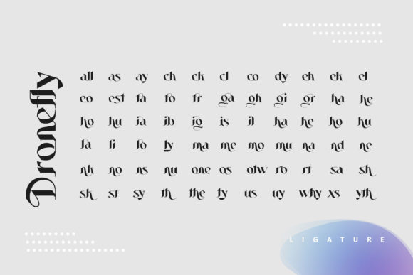 Dronefly Font - Preview 5