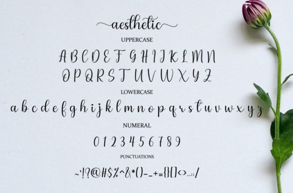 Aesthetic Font - Preview 5