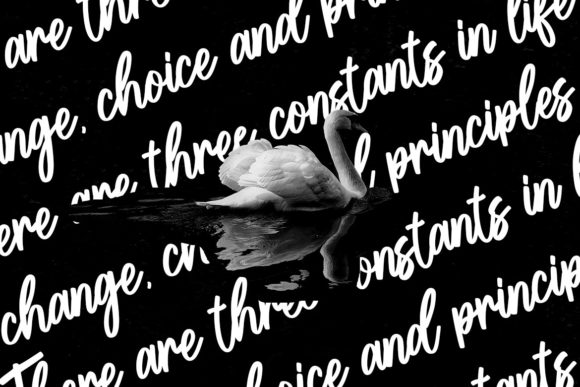 Bollifia Script Font - Preview 3