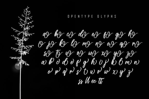 Bollifia Script Font - Preview 6