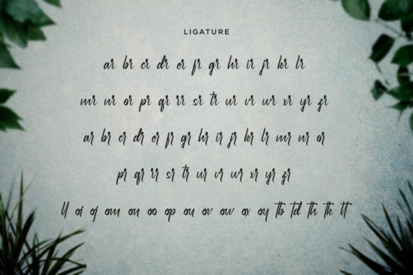 Hydrilla Font - Preview 4