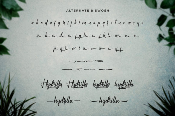 Hydrilla Font - Preview 6