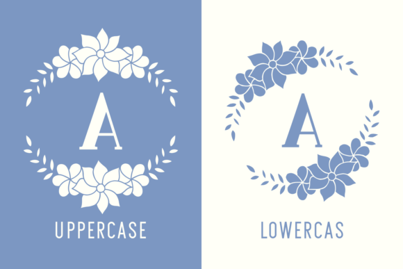 Erina Font - Preview 1