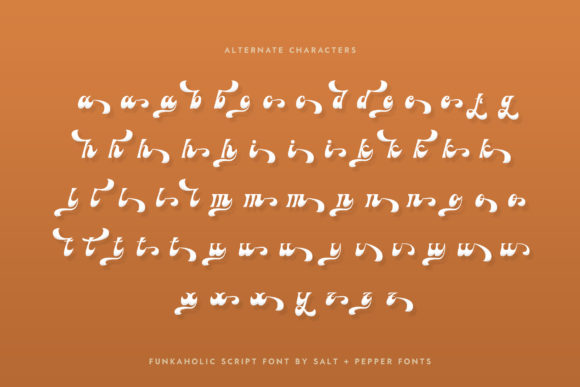 Funkaholic Font - Preview 6