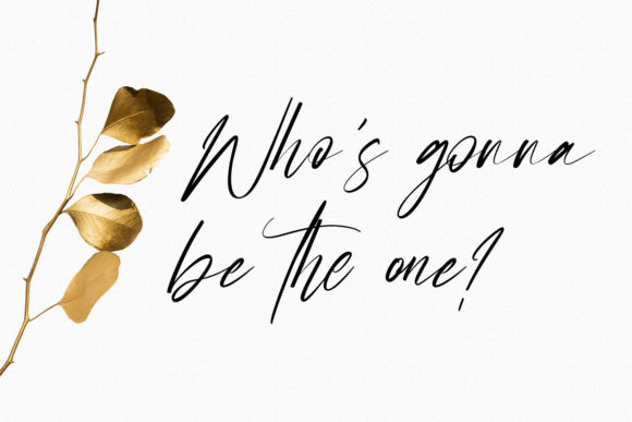 Sellyamor Script Font PNG with transparent background - Preview 3