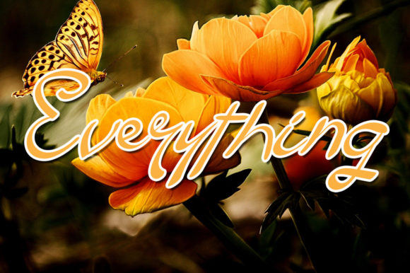 Butterfly Font - Preview 2