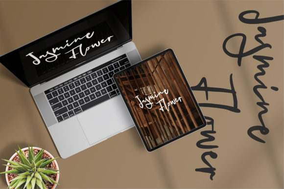 Balley Font - Preview 2