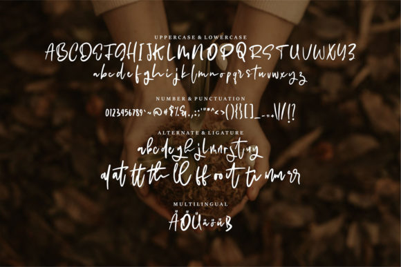 Balley Font - Preview 5